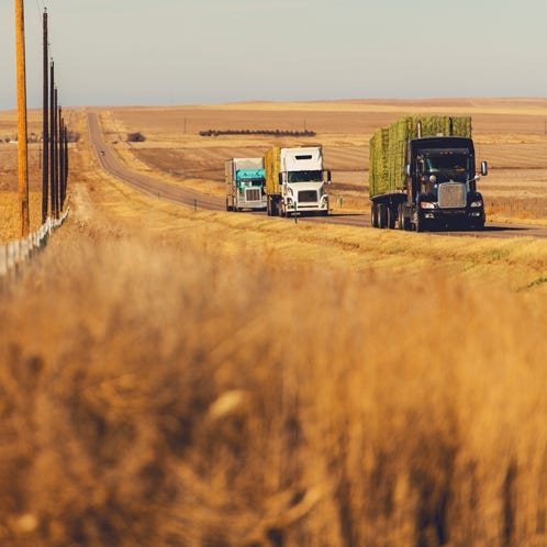 Male employer gesticulating and explaining idea in light office